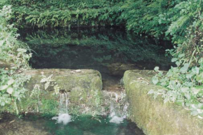 大森町鹿島神社不動尊の泉